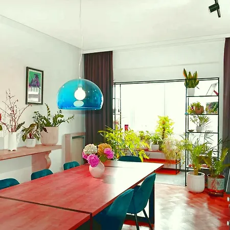 Langa Tomis Mall Constanta